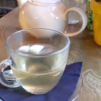 Nice green tea. at Comptoir Libanais in Manchester