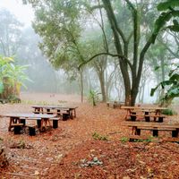 picnic tables outside Magoebaskloof Farmstall at Magoebaskloof Farmstall and Cafe in Tzaneen