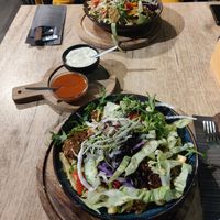  at De Serre van Cleopatra in Wageningen