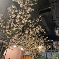   at Tsukiyomi Ramen in Montreal