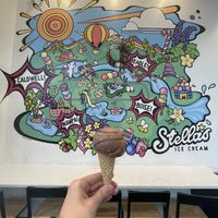 Their cute mural!   at Stella's Ice Cream - N 8th St in Boise