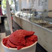 Raspberry sorbet at Stella's Ice Cream - N 8th St in Boise