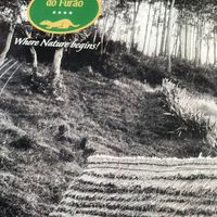 Didn’t see ferrets   at Quinta Do Furão in Santana