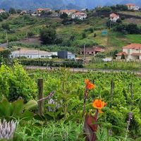  at Quinta Do Furão in Santana