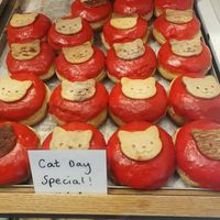 🐱 at Brammibal's Donuts - Alexanderplatz in Berlin