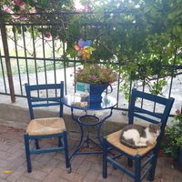 Cosy decor at Mom's Kitchen in Kos