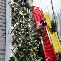 ...  at Mom's Kitchen in Kos