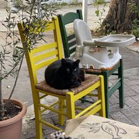   at Mom's Kitchen in Kos