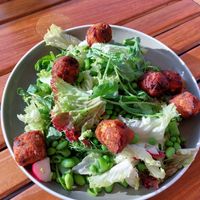 Pea salad with different types of peas, lettuce, radish, and falafel. at Lilleheden in Hirtshals