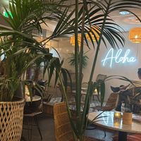 Gezellig groen   at Bowls 'n Rolls in Leeuwarden