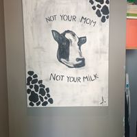  at Nom Nom in Constanta