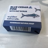   at Kindly of Brighton in Hove