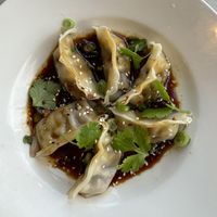 Steamed dumplings  at Nan's Noodle House in Calgary