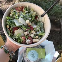   at Ping Pong Poke in Salzburg