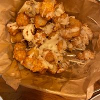 Tater tots with vegan cheese at Peddlers Pizza Pub in Valparaiso