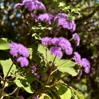  Botanical Garden of Crete  at Botanical Garden of Crete Restaurant in Crete