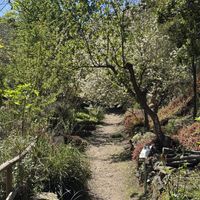  Botanical Garden of Crete  at Botanical Garden of Crete Restaurant in Crete