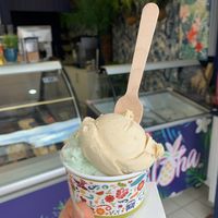  Vegan mint choc chip and salted caramel  at Aloha in Sheringham