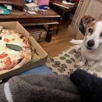   at Fat Toni's Pizzeria in Stroud