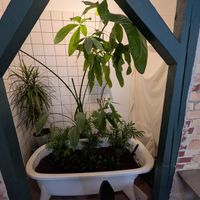  at Plant Food in Aarhus