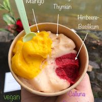 Many vegan options with unusual tastes.  at Calluna Eispatisserie in Lueneburg