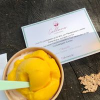 Homemade  at Calluna Eispatisserie in Lueneburg