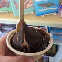 Choc and vanilla twist soft serve with  chocolate magic shell at Like No Udder in Providence