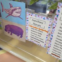   at Like No Udder in Providence