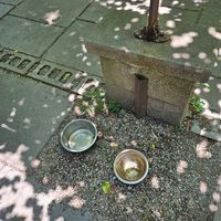  at Kentucky Native Cafe in Lexington