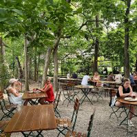 Kentucky Native Cafe - ambience   at Kentucky Native Cafe in Lexington