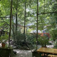   at Kentucky Native Cafe in Lexington