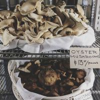 . at New Hope Market in Chapel Hill