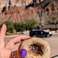 Vegan donuts! at FeelLove Coffee in Springdale
