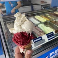 8 vegan sorbet flavours! at Penguino Ice Cream Cafe in Nelson