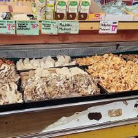 So many types of mushrooms! at Monterey Market in Berkeley