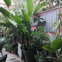 If you love plants, this is the terrace to be! at Vrutal - Poblenou in Barcelona