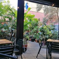 Interior patio at Vrutal - Poblenou in Barcelona