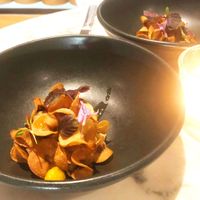 Fertile Soil at Ten Acre Block in Perth