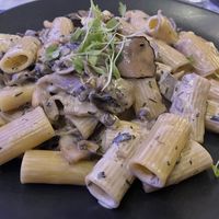   at Hippocampus in Protaras