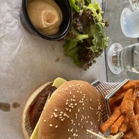   at Hippocampus in Protaras