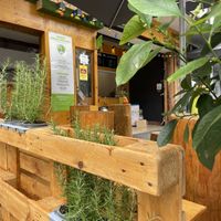   at Etyok Vegan Kebab in Nuremberg