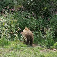 Bärenpo :) at Bistro Bärenblick in Bad Rippoldsau Schapbach