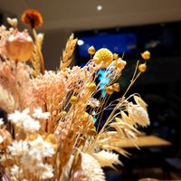  at Hummelbude in Essen