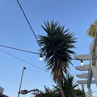 Nice atmosphere at Istros in Kos