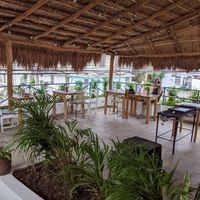 The terrace at Plantivoros in Playa Del Carmen