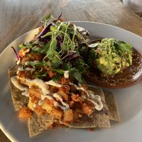 Nachos at Plantivoros in Playa Del Carmen