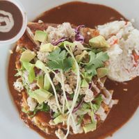 Enmoladas at Plantivoros in Playa Del Carmen