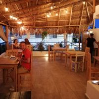 plantivor at Plantivoros in Playa Del Carmen