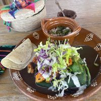   at Plantivoros in Playa Del Carmen