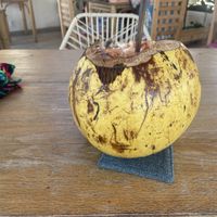   at Plantivoros in Playa Del Carmen